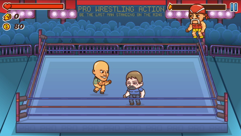 Pro Wrestling Action